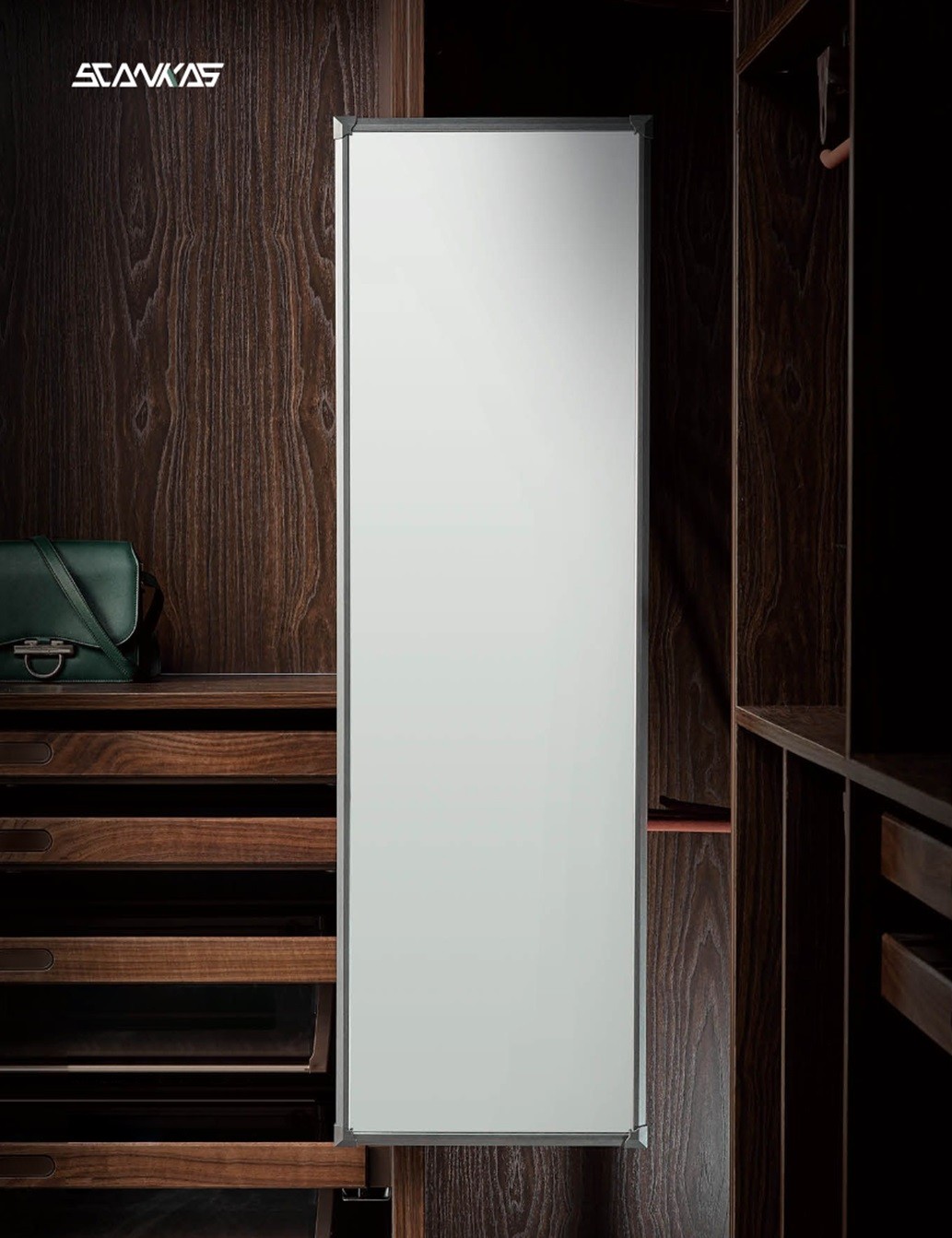 PULL-OUT MIRROR